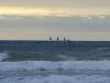 pelicans over sea